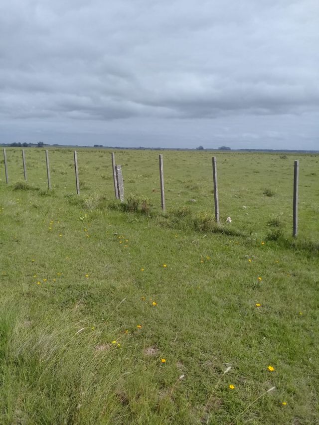 Campo de 42 hectáreas en Rocha