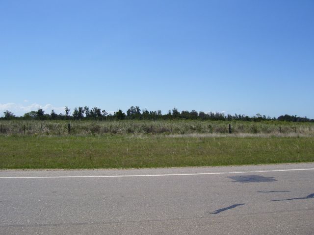 Campo de 124 hectáreas sobre Ruta 9