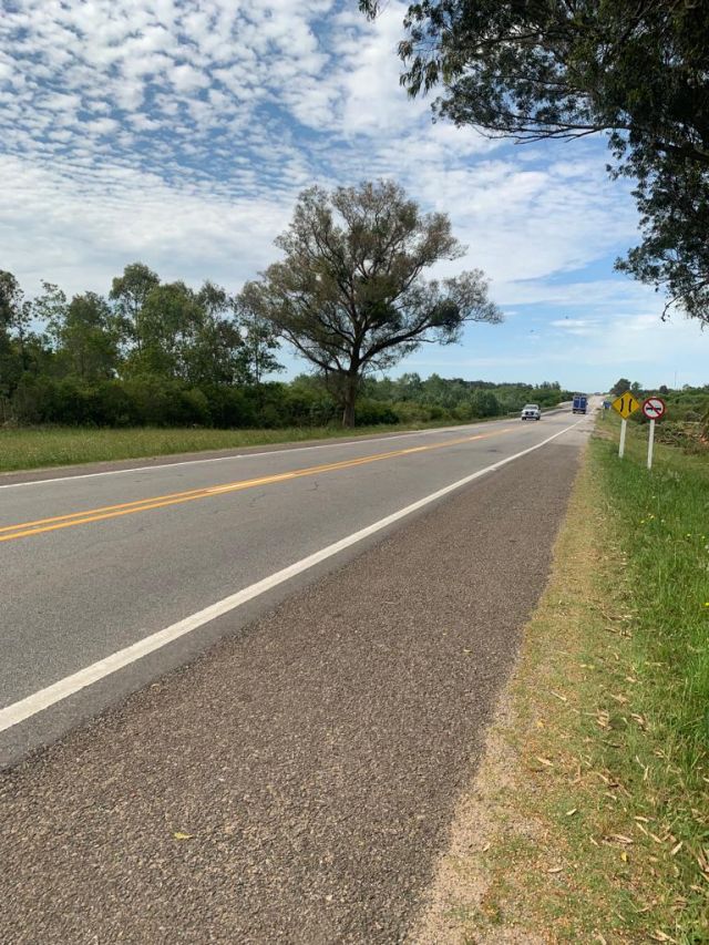 Campo de 49 hectáreas sobre Ruta 9