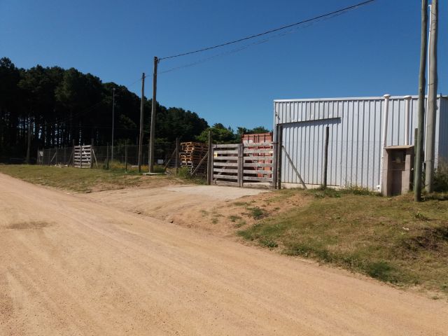 Local comercial en el centro de Maldonado