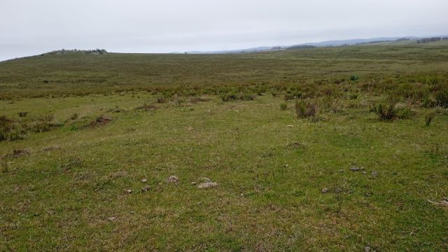 Campo de 120 hectáreas bien ubicado