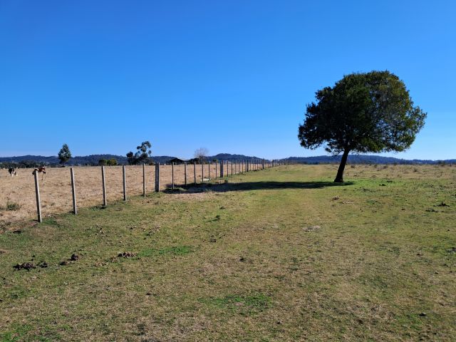 Campo de 31 hectáreas, zona Lapataia